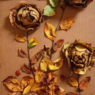 Осенние цветы