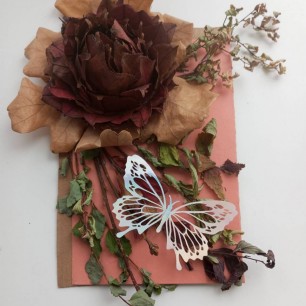 Осеняя роза