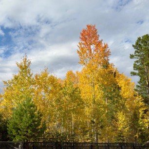 "Осенний пейзаж"