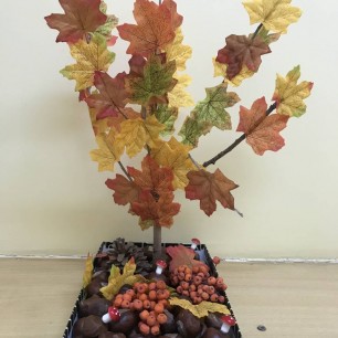 Осеннее дерево