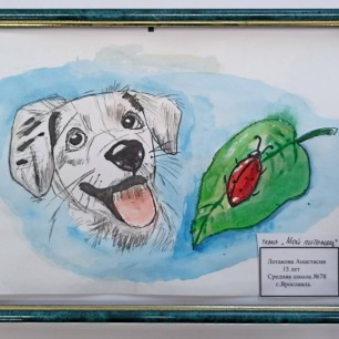 Мой питомец