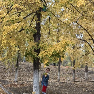 Красотка липа...