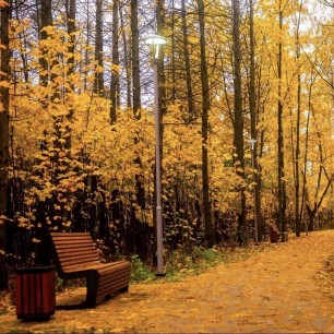 Место вдохновения