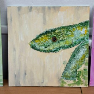 Взгляд из тени