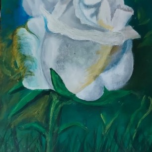 "Белая роза"