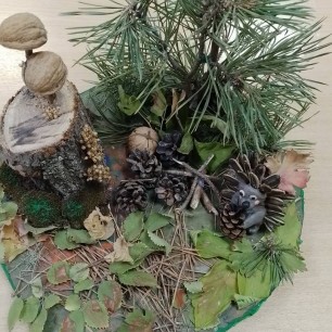 Лесная поляна