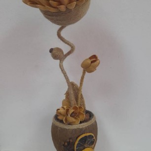 "Хризантема"