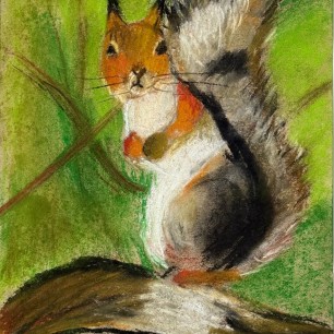 Белочка на ветке