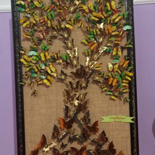 Очарование