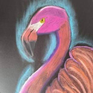 Ночной фламинго