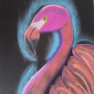 Краски фламинго