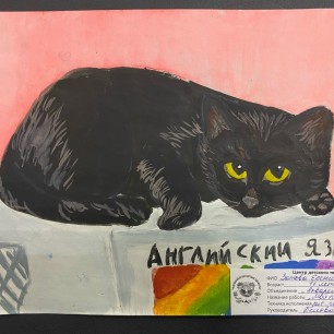 Мой питомец