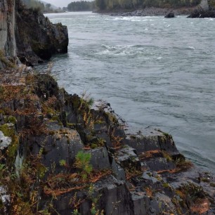 "На берегах Катуни"