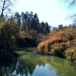 "Бобровая заводь"