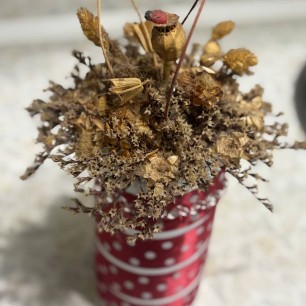 «Осенняя баночка»