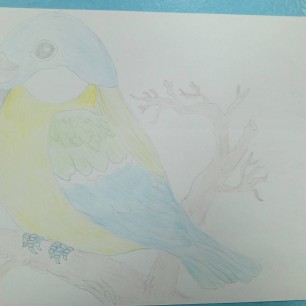 Синица на ветке.