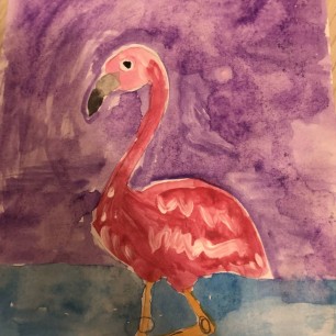 Фламинго на закате