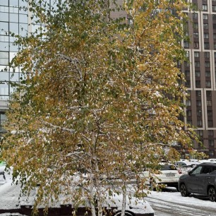 «Три сезона в одном кадре»