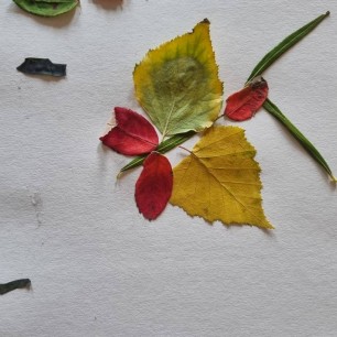 Осенняя бабочка