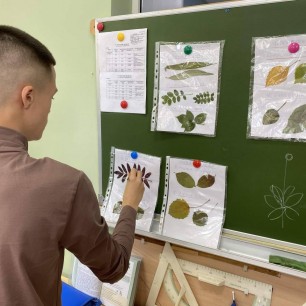 Осенний гербарий