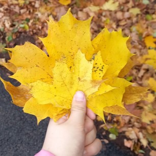 "Осенний букет"