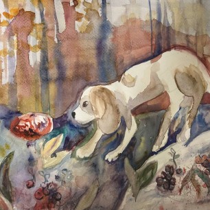 На прогулке в лесу