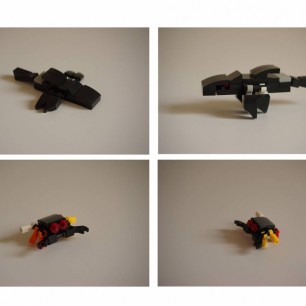 Черная птица и краб