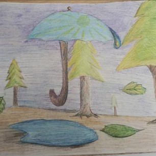 После дождя