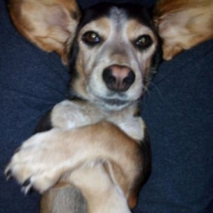 "Не могу поверить, что я это сделал"