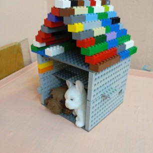 дом для любимых питомцев