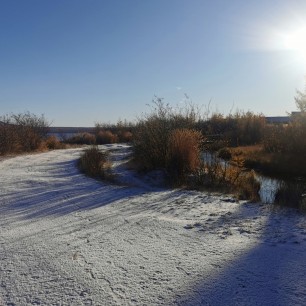Первый снег