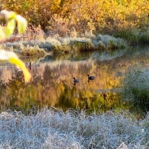 Тихое морозное утро