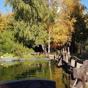 Осень в парке