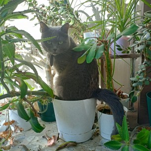 "Я больше не буду"