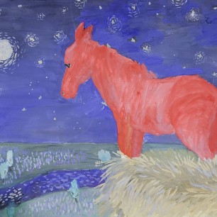 Звёздная ночь