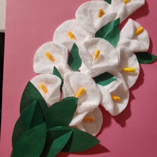 Каллы-белые цветы