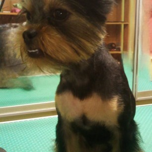 "МОЙ ВЕРНЫЙ ДРУГ - БОНЕЧКА"