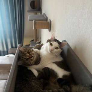 Родные души