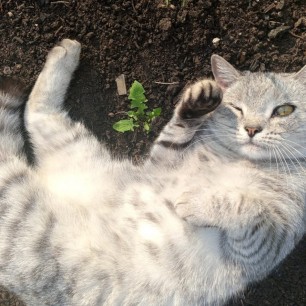 Под тёплыми лучами солнца