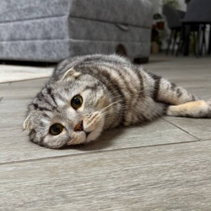 Очаровательные глазки