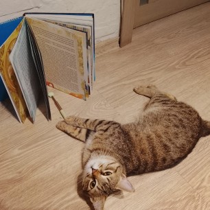 За чтением книги