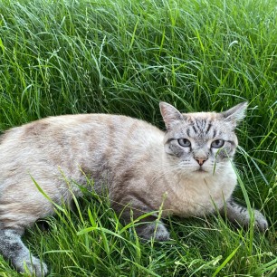 Наш младший