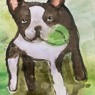 Бостон-терьер на прогулке