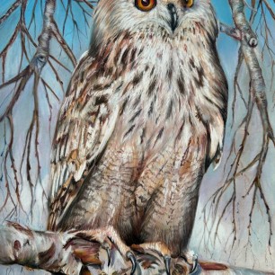 Филин Bubo bubo