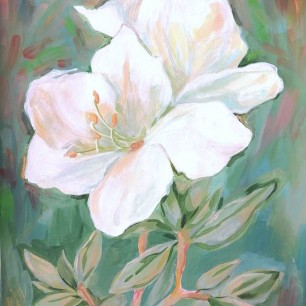 Белые цветы