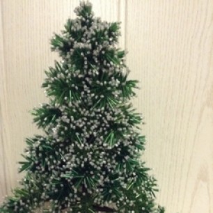 "Новогодняя красавица"