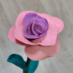 Нежная роза!