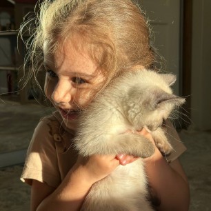 "Счастье по кличке Нэко в ладонях  или Любовь без границ"