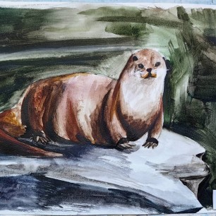 Морская выдра