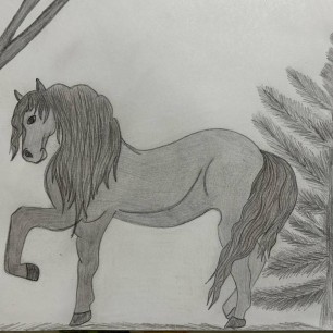 «Символ года 2026»